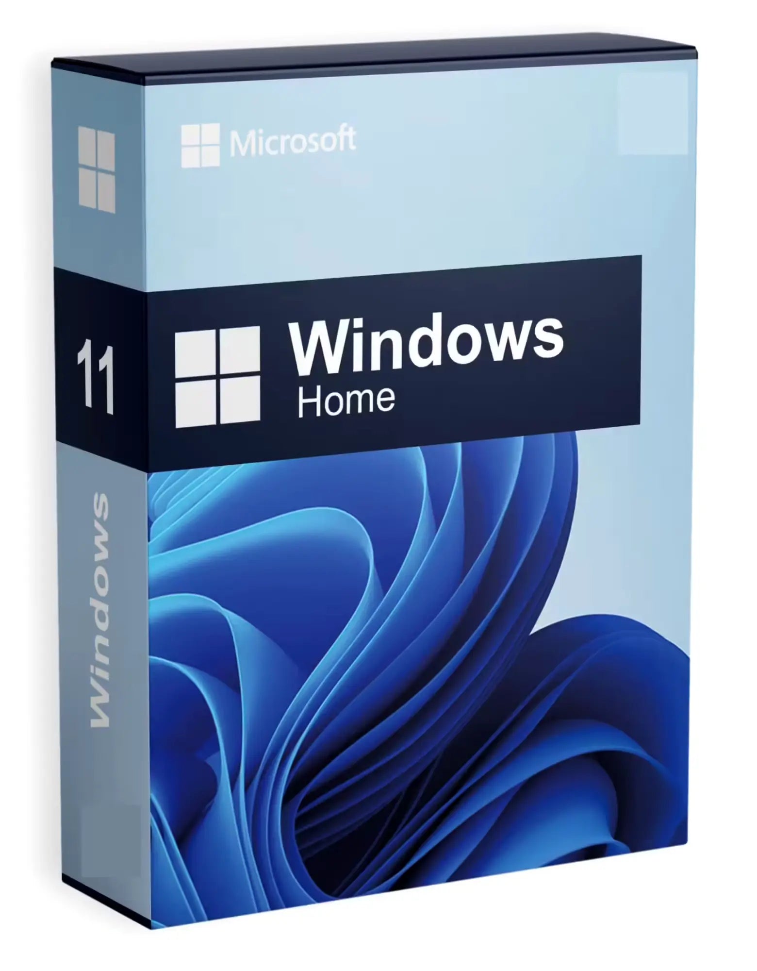 Microsoft Windows 11 Home lifetime license
